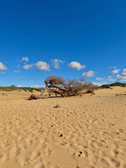 Piscinas: il deserto della Sardegna